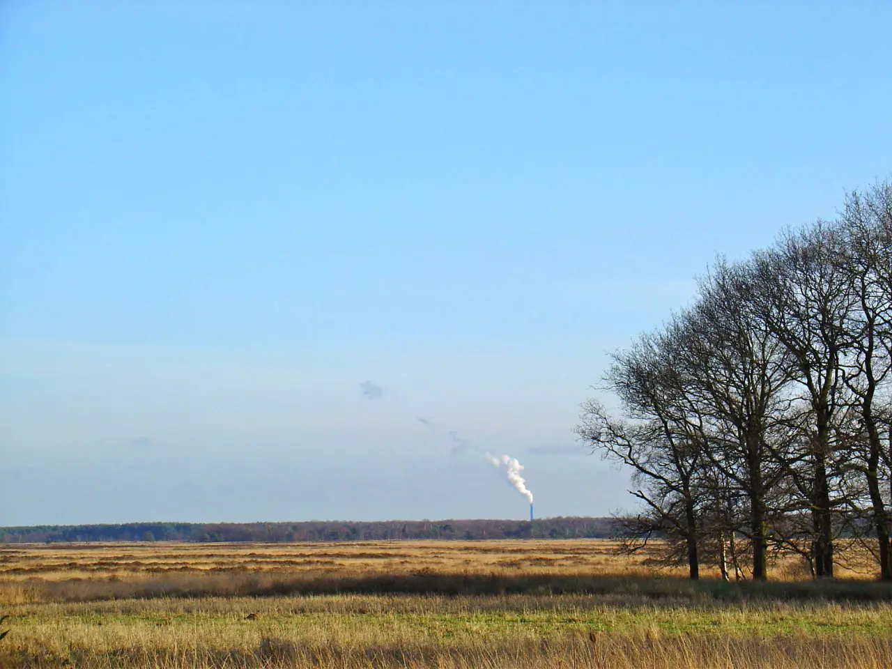 Heidelandschap bij de Kraloerheide in Drenthe