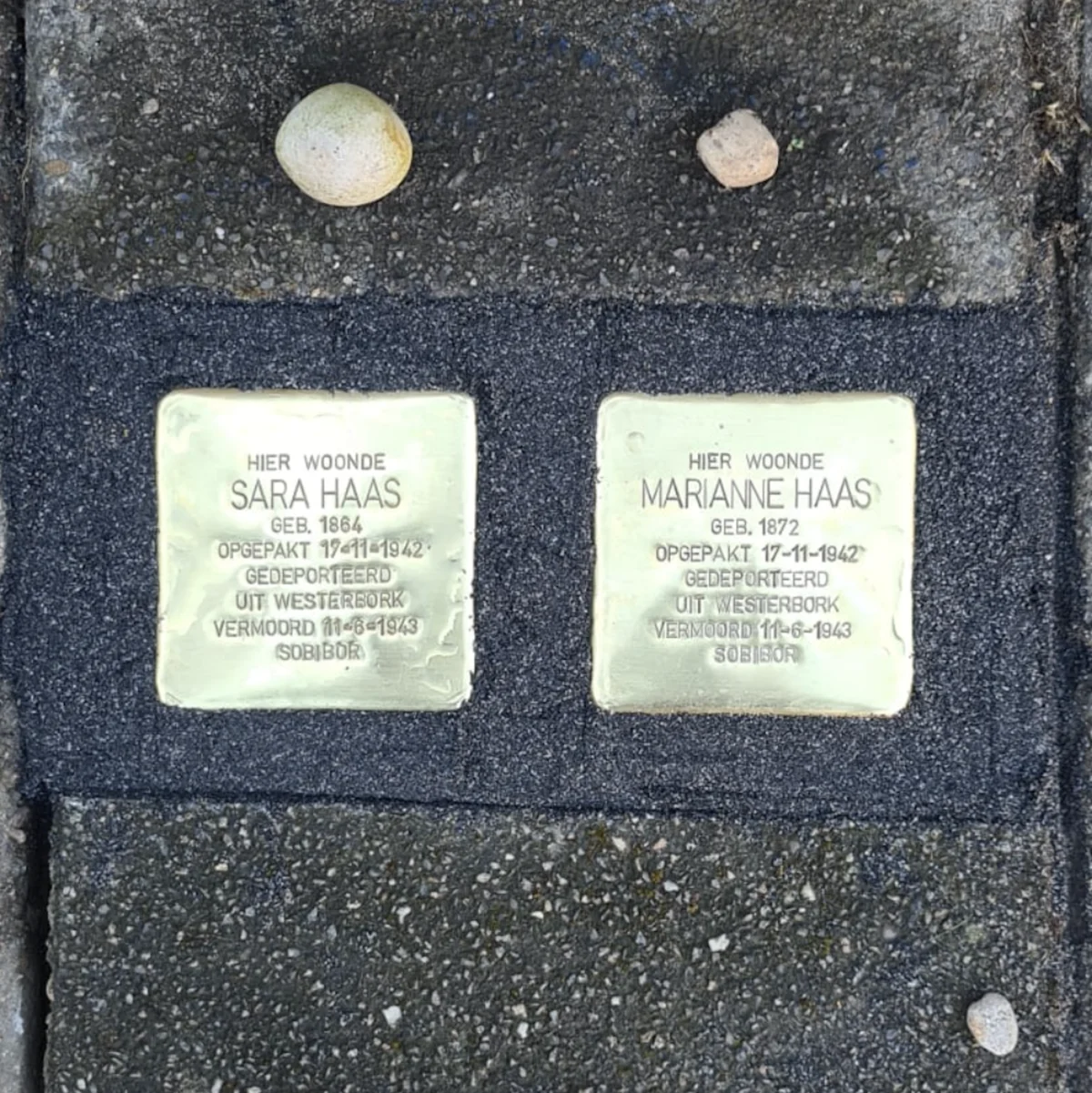 Stolpersteine — herdenkingsstenen voor Sara en Marianne Haas